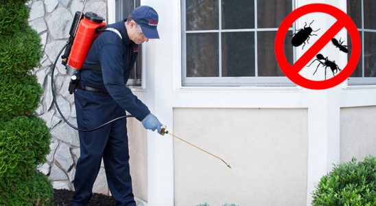 Asarlık Böcek İlaçlama böcek ilaçlama ve haşere kontrolü — ilaclama-tr.com